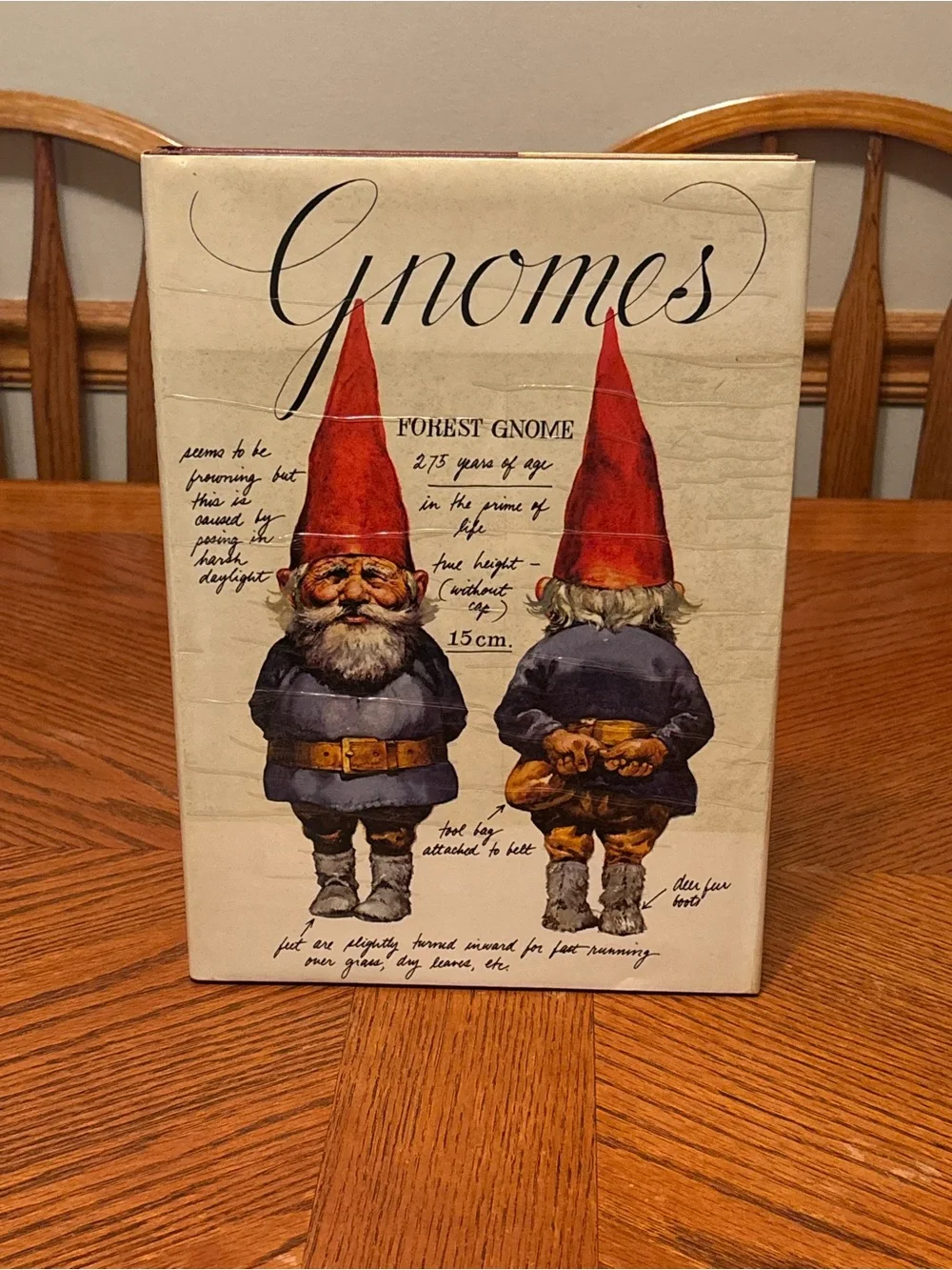 Gnomes by Wil Huygen & Rien Poortvliet – 1977 Vintage Hardcover Art Book